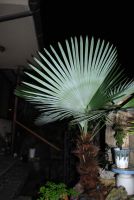 JPG 1071x1600 1068.7kb