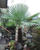 JPG 1000x1253 1089.7kb