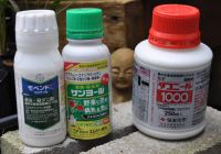 JPG 1800x1260 1265.4kb