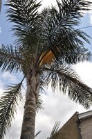 JPG 1328x2000 2058.4kb