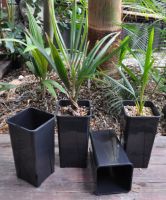 JPG 1776x2136 1548.7kb