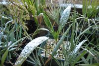 JPG 1200x803 953.0kb