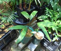 JPG 1000x834 835.1kb