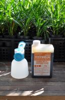 JPG 800x1240 879.7kb