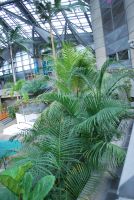 JPG 1339x2000 2614.6kb