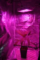 JPG 797x1200 906.1kb