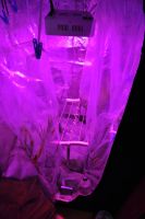 JPG 797x1200 699.1kb