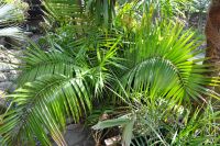 JPG 1200x797 1289.1kb