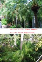 JPG 1000x1464 1747.2kb