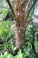 JPG 1200x1807 2110.0kb