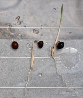 JPG 1200x1407 1044.9kb