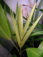 JPG 1944x2592 888.3kb