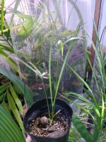 JPG 1944x2592 1380.7kb