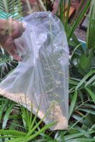 JPG 664x1000 569.4kb