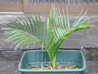 JPG 1212x916 799.7kb