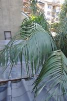 JPG 797x1200 978.1kb