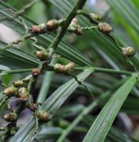 JPG 1173x1203 831.3kb