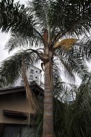 JPG 797x1200 1014.9kb