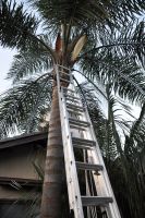 JPG 797x1200 1111.3kb