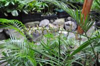 JPG 1400x930 1070.9kb