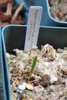 JPG 805x1200 701.4kb