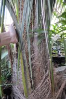 JPG 930x1400 1221.1kb