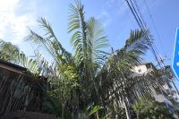 JPG 1400x930 1242.2kb