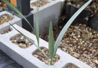 JPG 1000x696 472.2kb