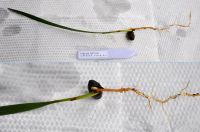 JPG 1200x794 630.6kb