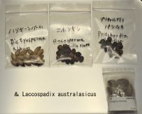 JPG 1200x962 655.5kb