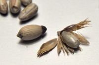 JPG 1359x903 637.9kb