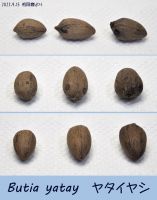 JPG 1200x1524 938.3kb