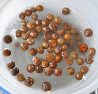 JPG 1000x967 650.0kb