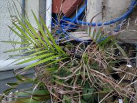 JPG 4000x3000 3688.4kb