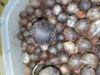 JPG 4000x3000 2654.7kb