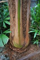 JPG 803x1200 898.4kb