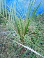 JPG 3072x4080 3762.3kb