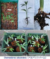 JPG 2020x2375 3653.3kb