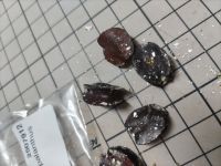 JPG 4000x3000 2035.0kb