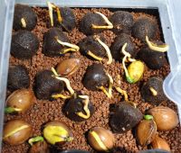 JPG 1000x848 916.1kb