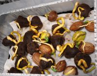 JPG 1200x943 936.8kb