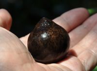 JPG 1000x730 374.5kb