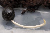 JPG 1000x668 348.5kb