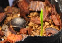 JPG 1000x692 425.7kb