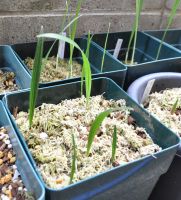 JPG 1000x1102 936.2kb