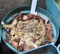 JPG 1000x904 760.2kb