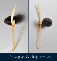 JPG 1352x1446 695.9kb