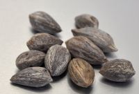 JPG 1352x922 717.6kb