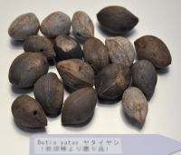 JPG 2205x1890 1877.1kb