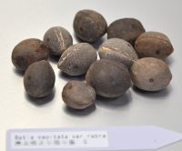 JPG 1854x1536 1309.0kb